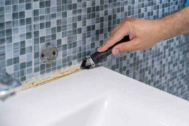 Best Certified Mold Removal  in Garden City, NY
