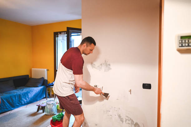 Home Mold Removal in Garden City, NY
