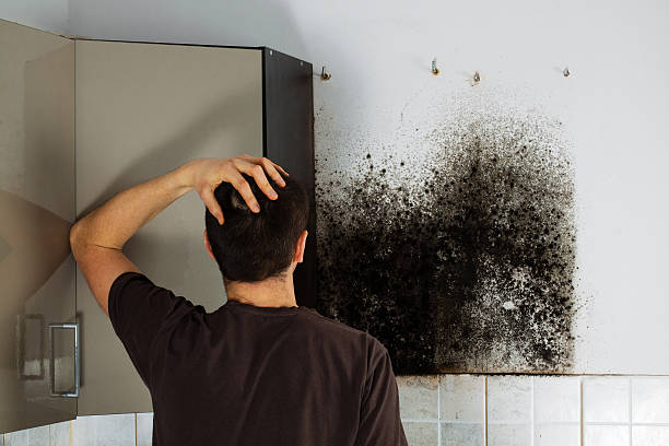 Best Mold Testing  in Garden City, NY